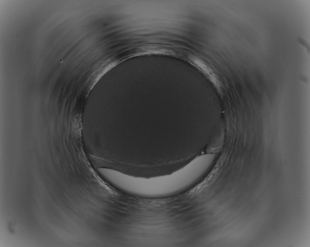 X0000091731377200709211012