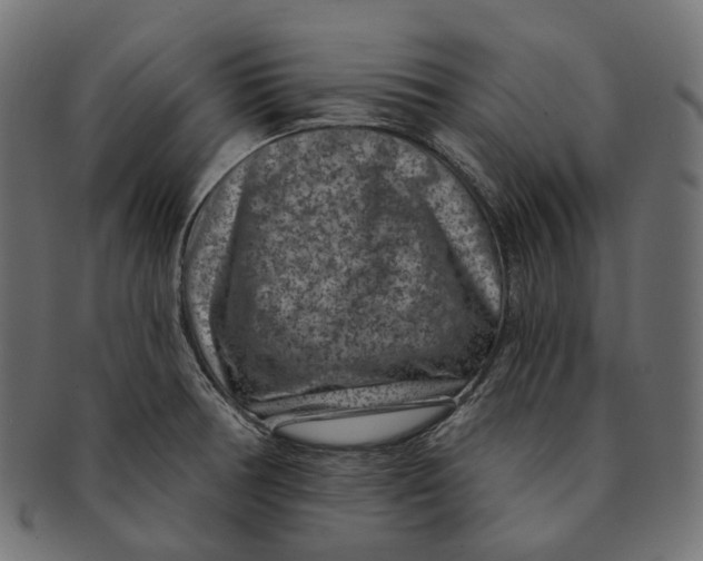 X0000091731378200709211012