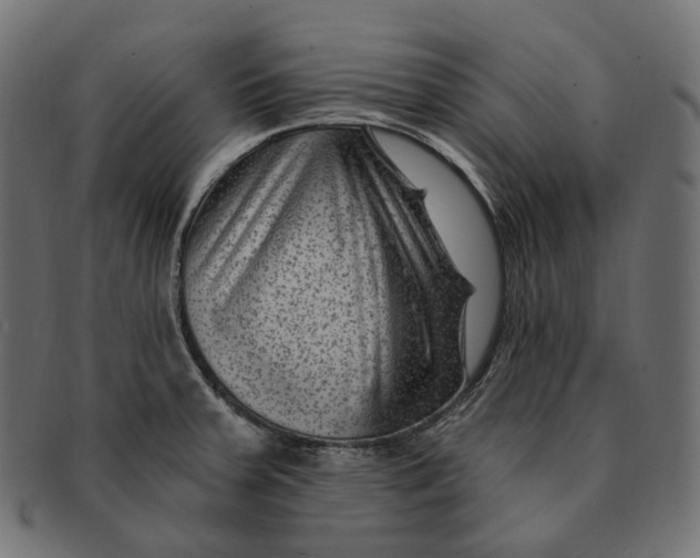 X0000091731379200709211012