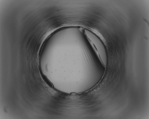 X0000091731380200709211012