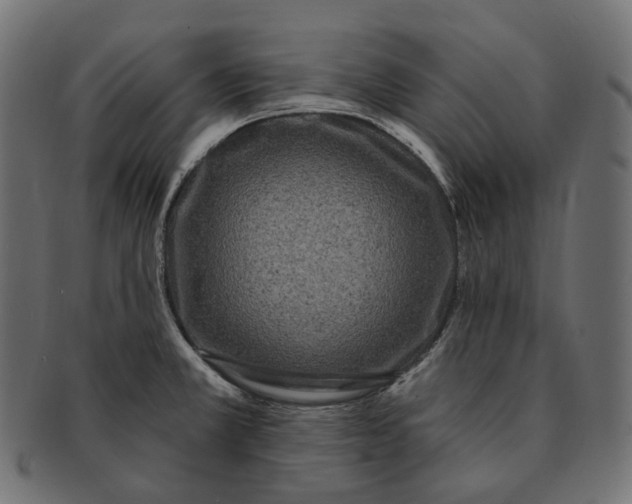 X0000091731381200709211012