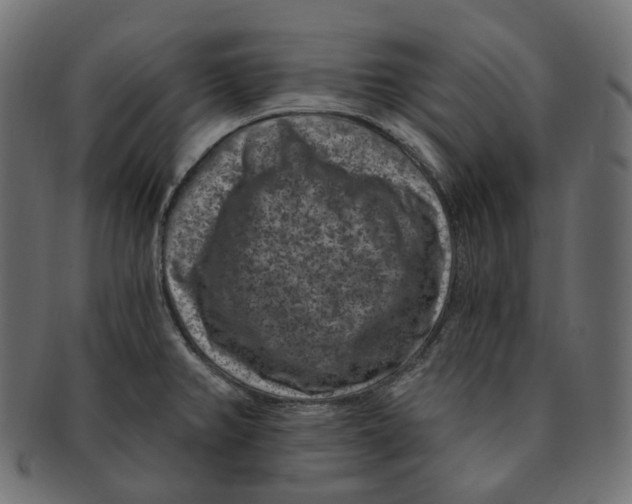 X0000091731382200709211012