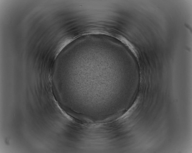 X0000091731385200709211012