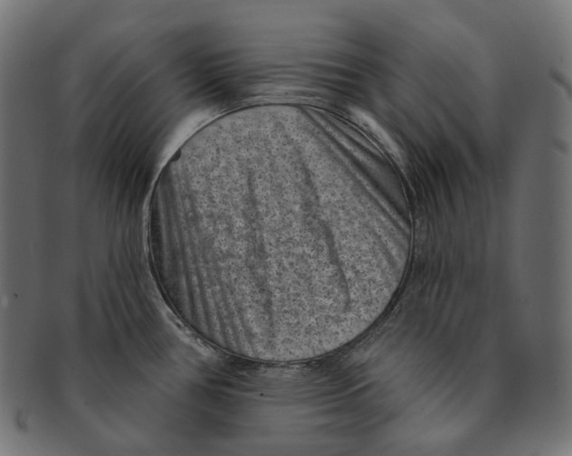 X0000091731386200709211012