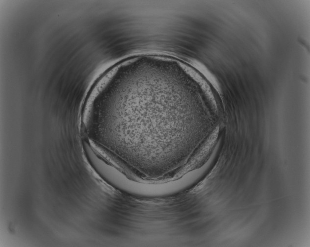 X0000091731388200709211012