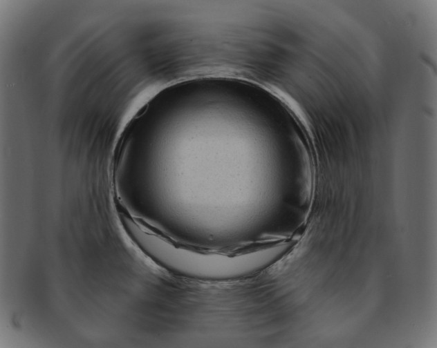 X0000091731389200709211012