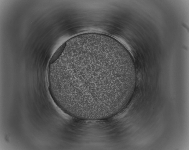 X0000091731391200709211012