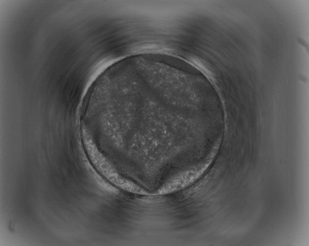 X0000091731392200709211012