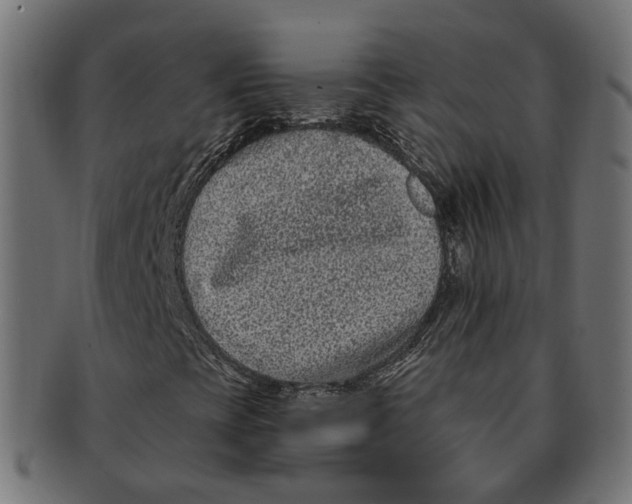 X0000091731393200709211011