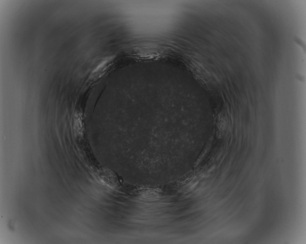 X0000091731394200709211011