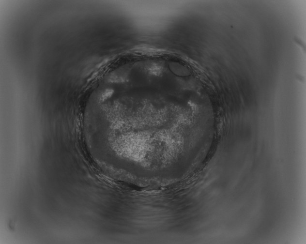 X0000091731397200709211011