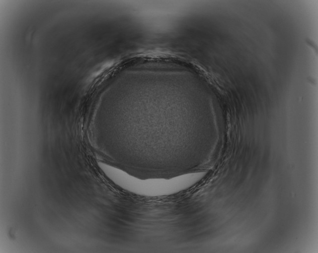 X0000091731398200709211011