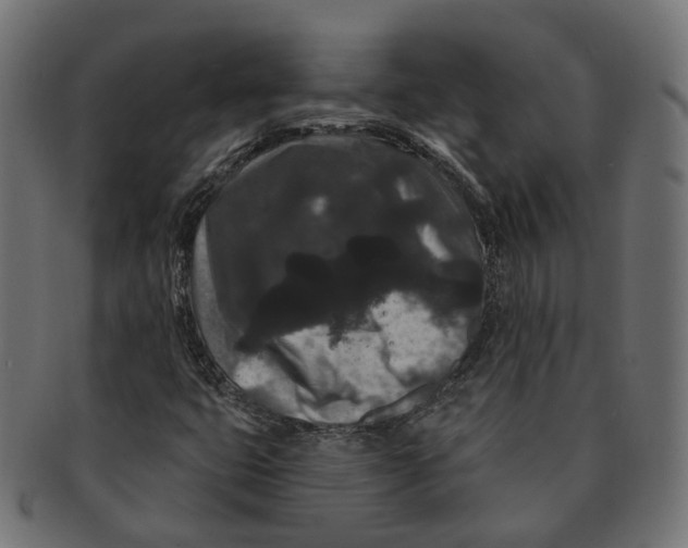 X0000091731399200709211011