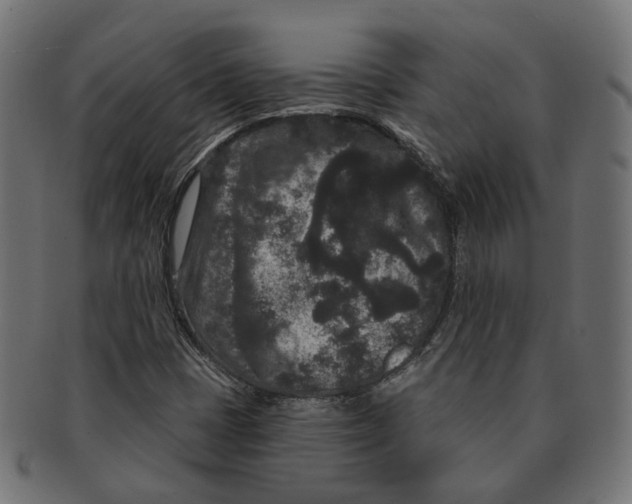 X0000091731401200709211011