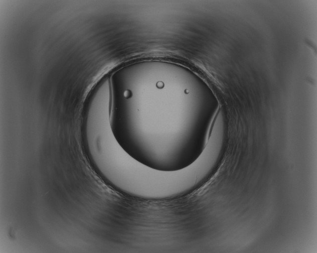 X0000091731410200709211011