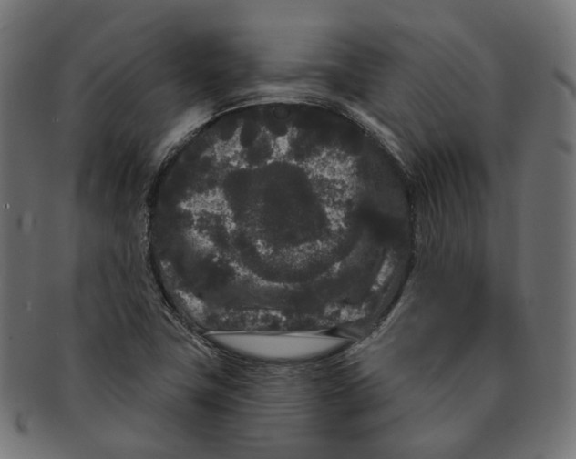 X0000091731411200709211011