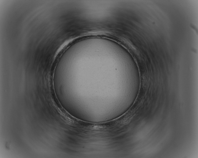 X0000091731412200709211011