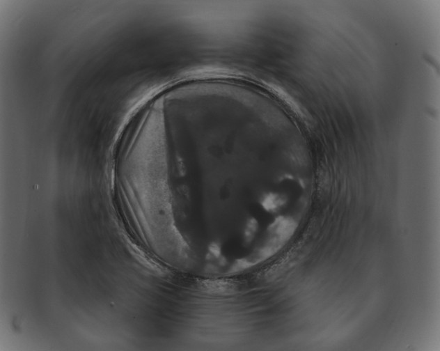 X0000091731413200709211011