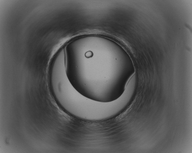 X0000091731414200709211011