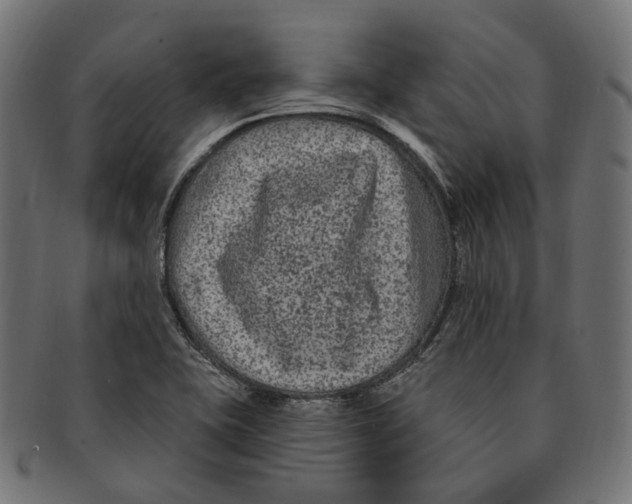 X0000091731415200709211011