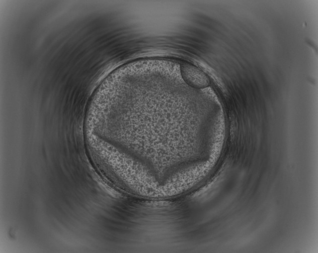 X0000091731417200709211011