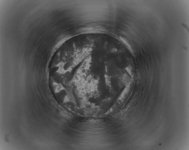 X0000091731419200709211011