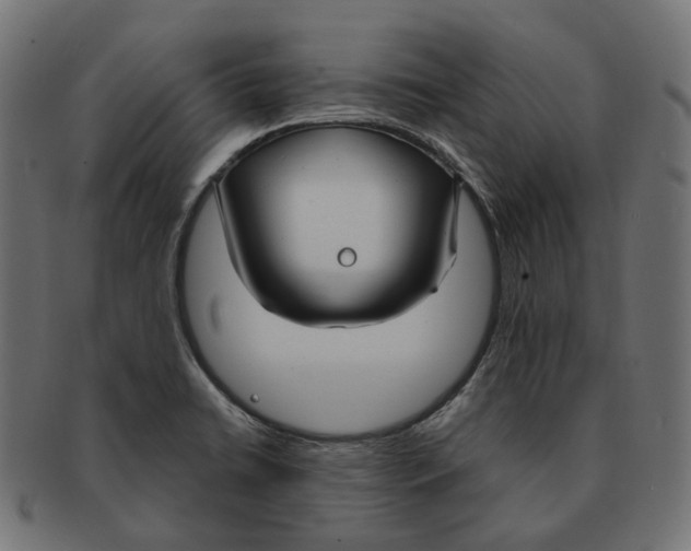 X0000091731422200709211011