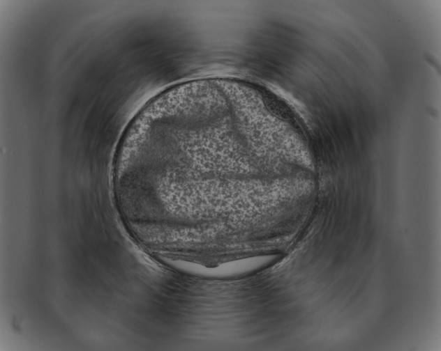 X0000091731423200709211011