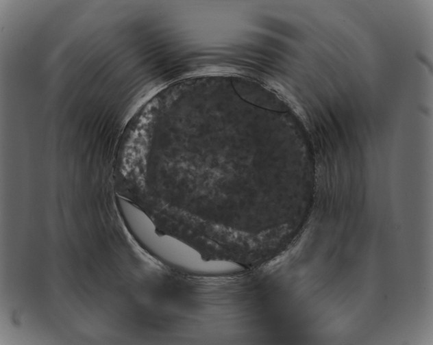 X0000091731425200709211011