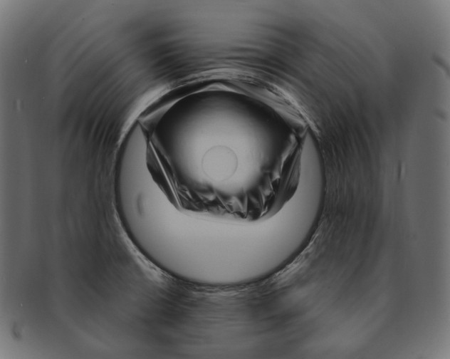 X0000091731426200709211011