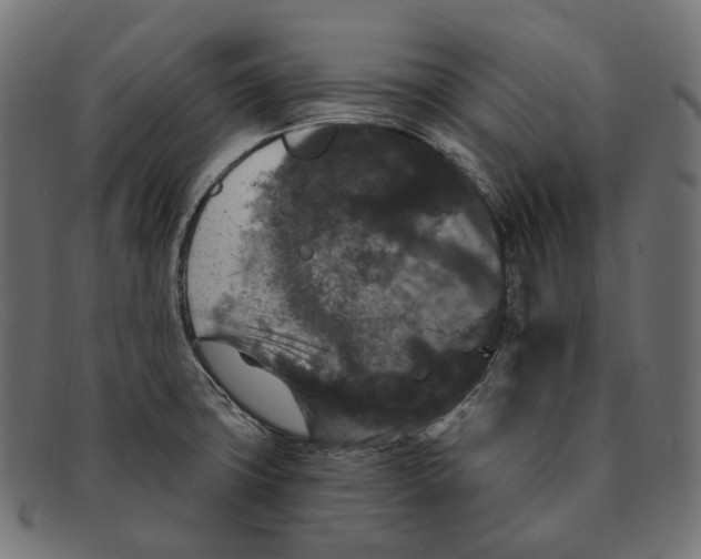 X0000091731427200709211012