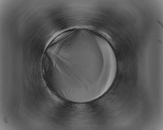 X0000091731428200709211012