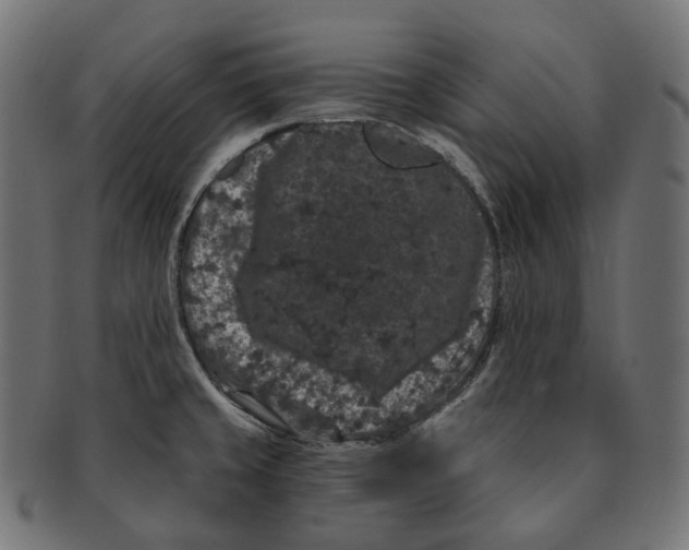 X0000091731429200709211012