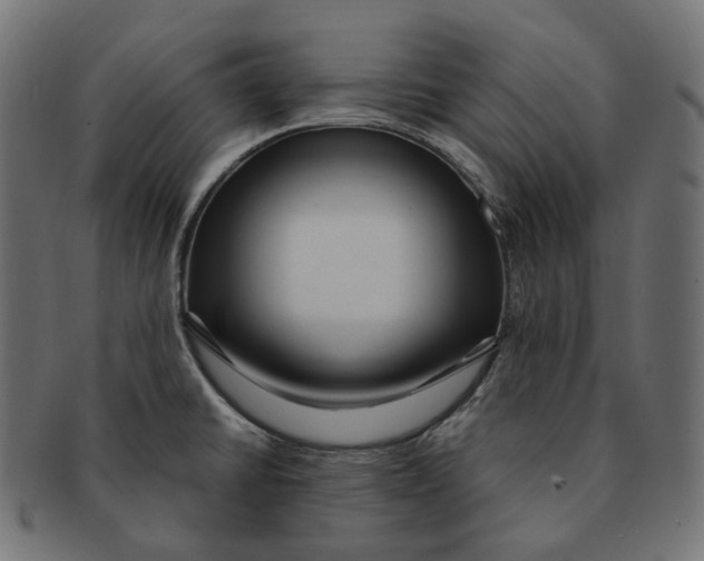 X0000091731430200709211012