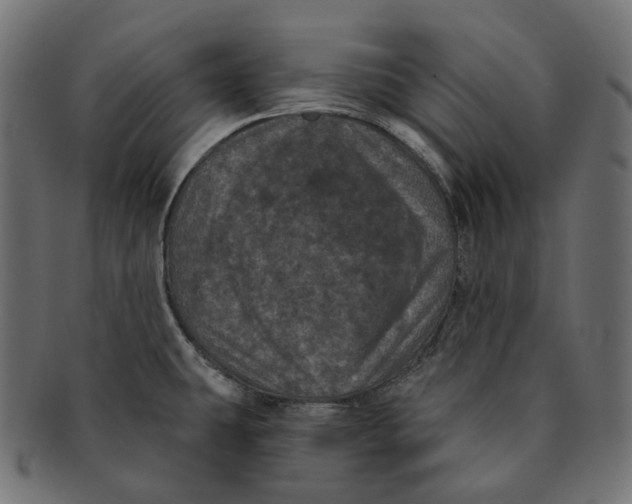 X0000091731431200709211012