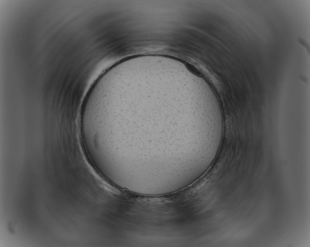 X0000091731432200709211012