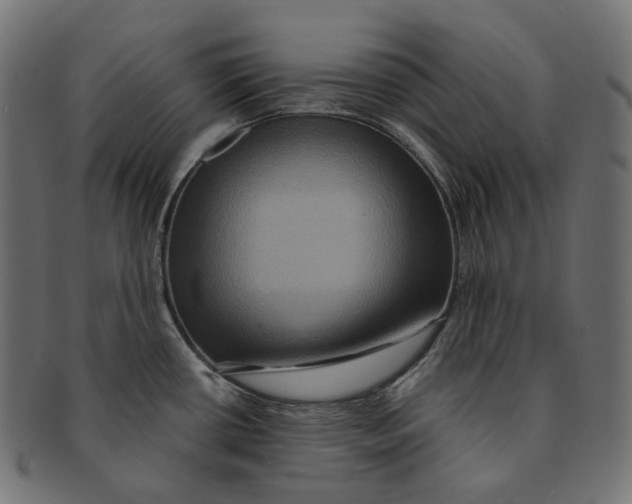 X0000091731434200709211012