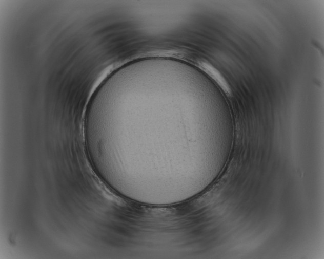 X0000091731436200709211012