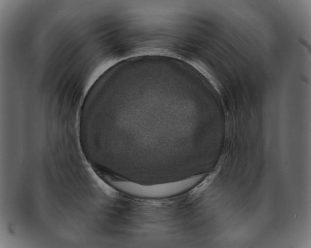 X0000091731438200709211012