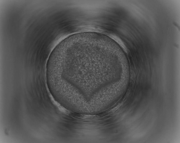 X0000091731439200709211012