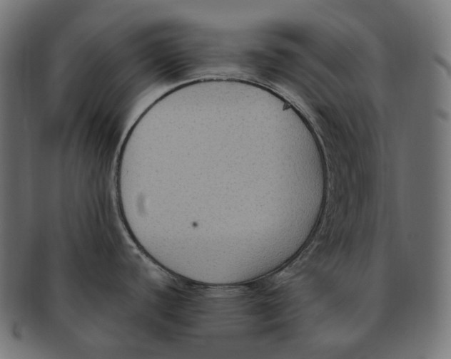 X0000091731440200709211012