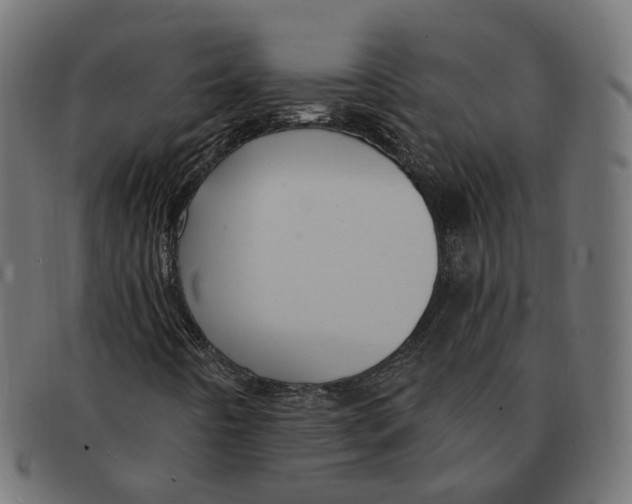 X0000091731442200709211011