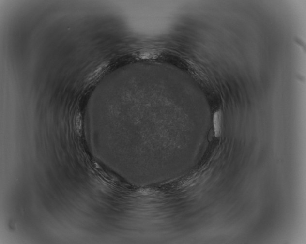 X0000091731443200709211011