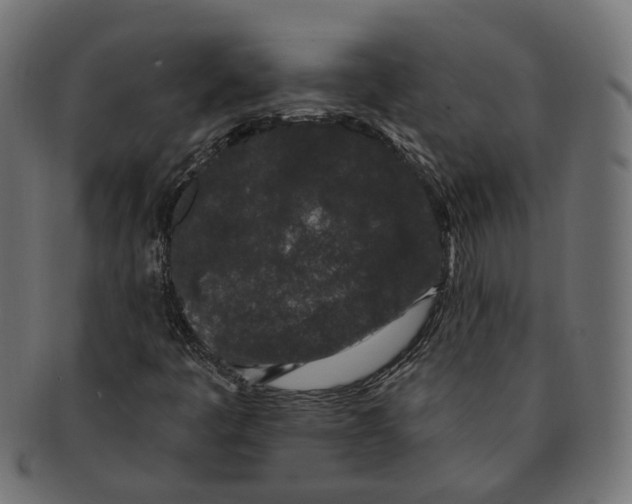 X0000091731445200709211011