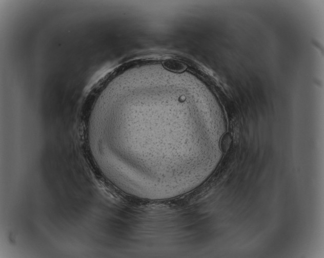 X0000091731448200709211011