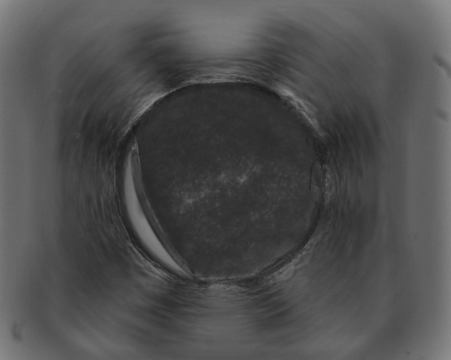 X0000091731449200709211011