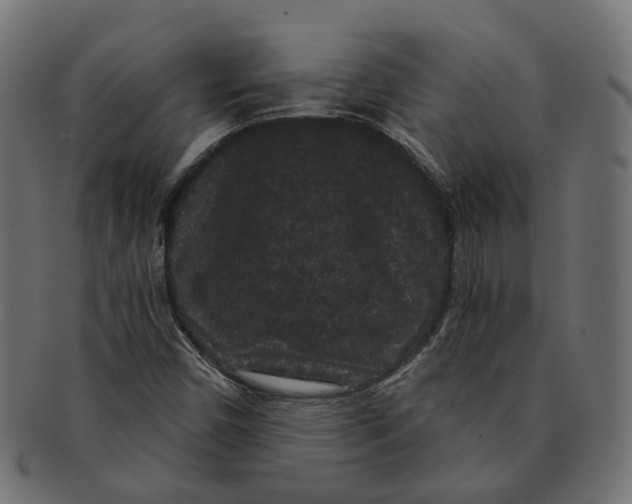 X0000091731450200709211011