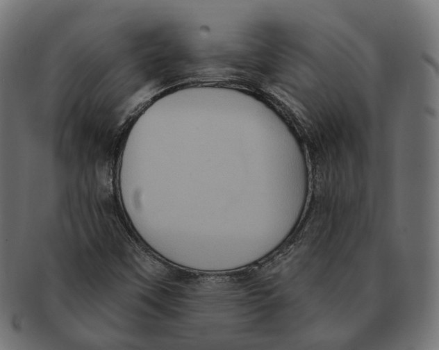 X0000091731451200709211011