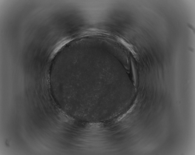 X0000091731453200709211011