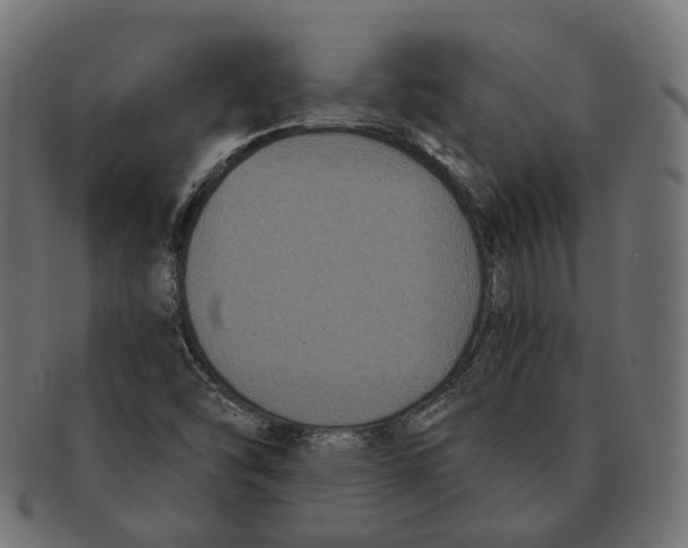 X0000091731454200709211011